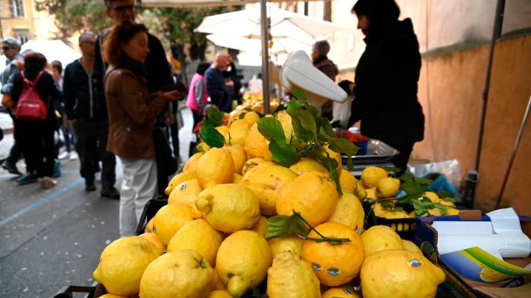 Forlì celebra il compatrono San Pellegrino FOTOGALLERY