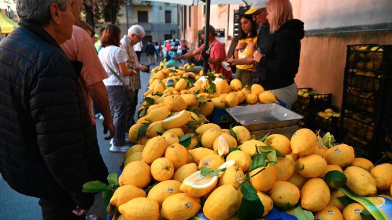 Le tradizionali bancarelle di cedri in occasione di San Pellegrino