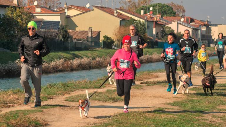 Ravenna. Dogs &amp; Run, la “corsa a 6 zampe”. FOTOGALLERY