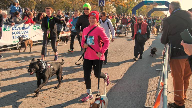 Ravenna. Dogs &amp; Run, la “corsa a 6 zampe”. FOTOGALLERY
