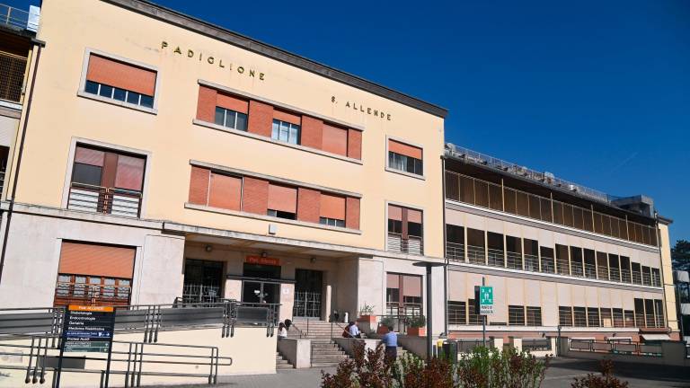 Forlì, un corridoio esperienziale di arte sanitaria pubblica all’ospedale “Morgagni-Pierantoni” - Gallery