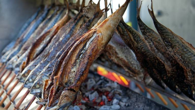 Cosa fare nel week-end: il programma di Il pesce fa festa a Cesenatico
