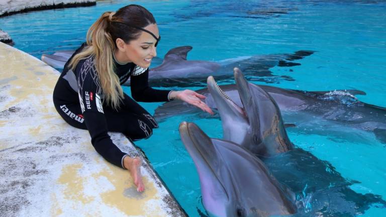 Gessica Notaro torna tra i suoi delfini a Oltremare - IL VIDEO