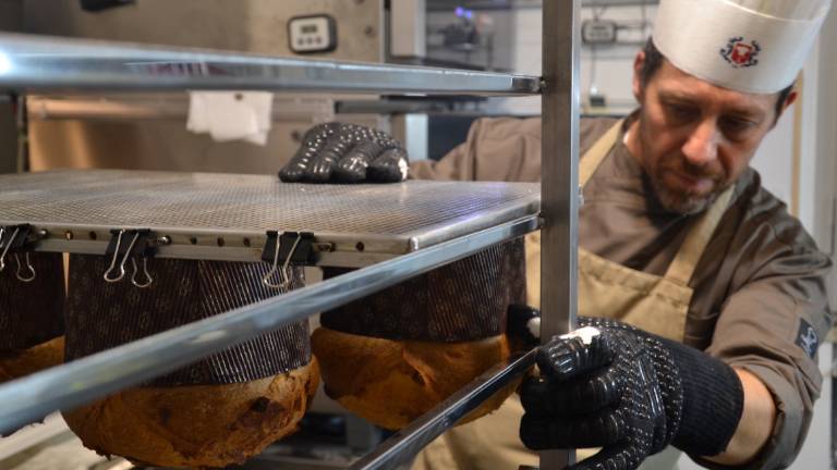 Cervia, le telecamere di Italia Uno per l'albergatore-pasticcere e il panettone al cardo