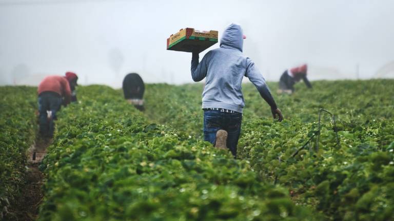 Ravenna, la Cgil: I migranti sono una risorsa, eppure hanno redditi più bassi del 42%