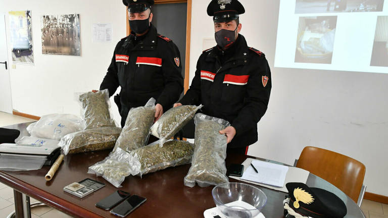 Forlì, sei chili di marijuana in casa: arrestato 23enne