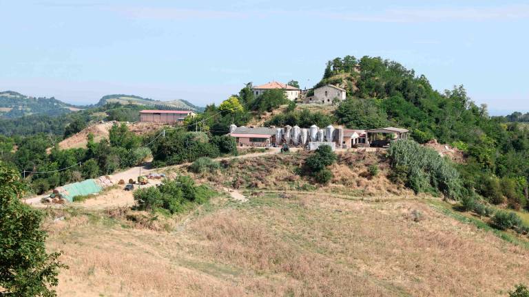 Roncofreddo, sopralluogo sulle frane con De Pascale GALLERY