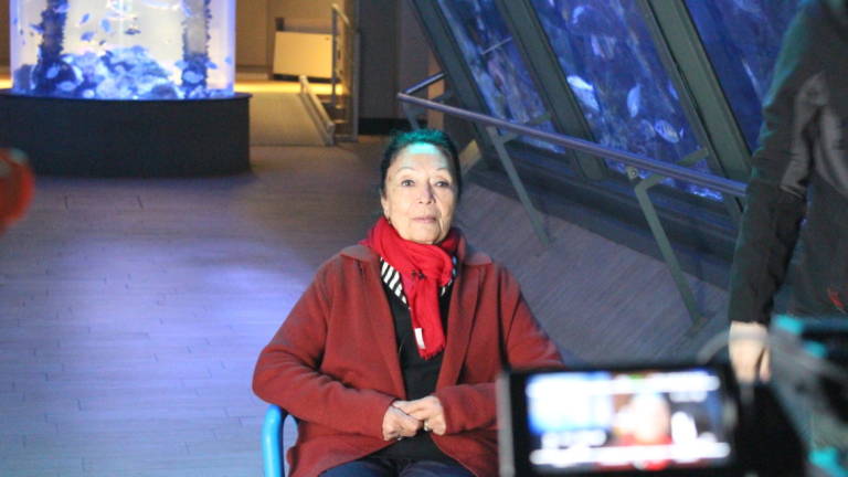 Dopo 81 anni, dalla Svizzera torna a Cattolica: la storia di Rosetta