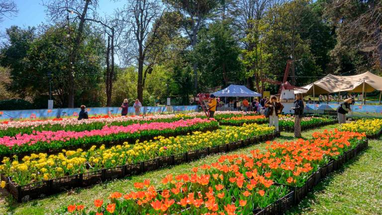 Riccione, inaugurato “Il Parco dei tulipani” VIDEO