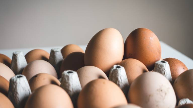 Rischio salmonella, torna il divieto di alimenti con uova crude in Bassa Romagna