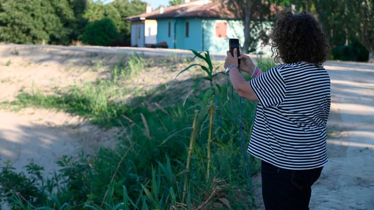 Forlì, lavori sul fiume Montone: i piani della Regione FOTOGALLERY