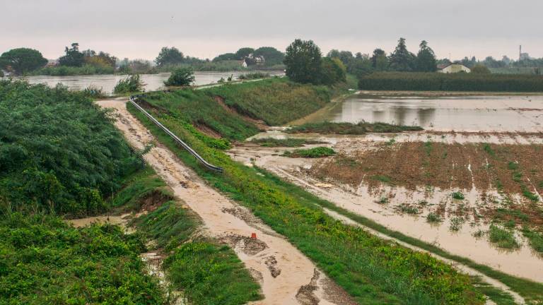 Inchiesta sull’alluvione, lo choc degli abitanti di Traversara: «Curcio ci aveva rassicurato, ora abbiamo paura>
