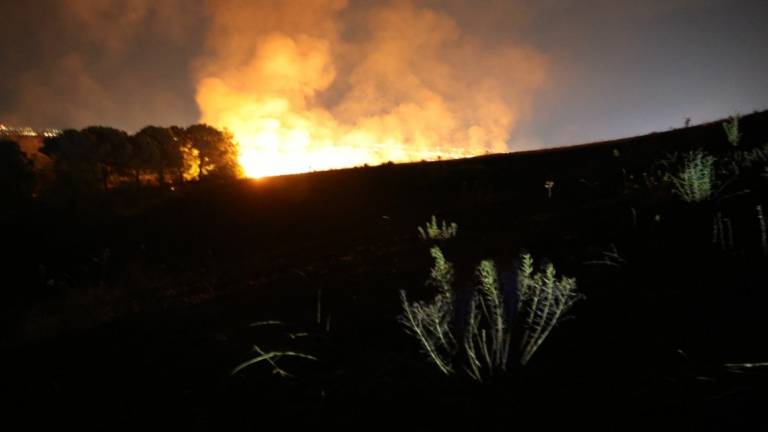Incendio: collina a fuoco tra Cesena e Bertinoro - FOTOGALLERY