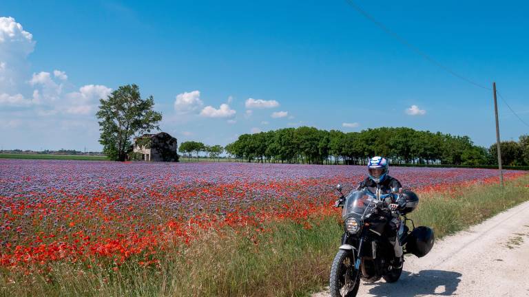 La terra nata dall’acqua: tour tra Ferrara, le idrovore e il Delta del Po