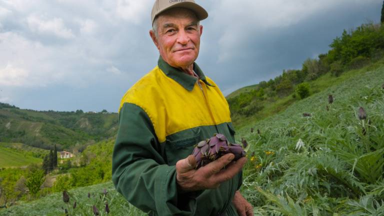 Il moretto di Brisighella che diventa più buono sui calanchi