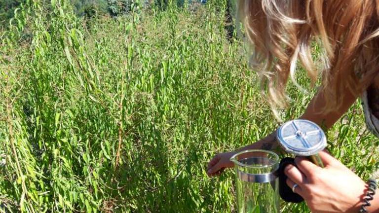 Casola Valsenio, il Giardino delle Erbe apre la stagione degli eventi tra natura e benessere