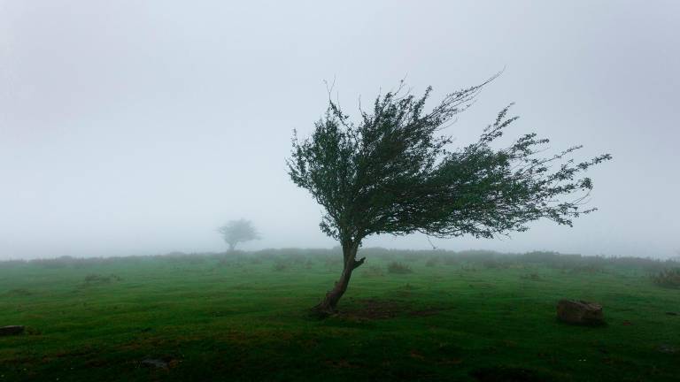Meteo Romagna, il 2 giugno pioggia e temporali, allerta arancione per vento sull’Appennino