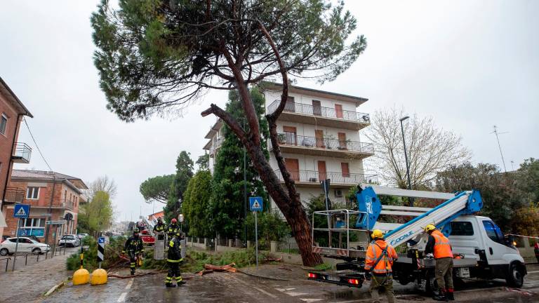 Ravenna, tanti alberi caduti, interrotta anche la linea ferroviaria per Bologna GALLERY
