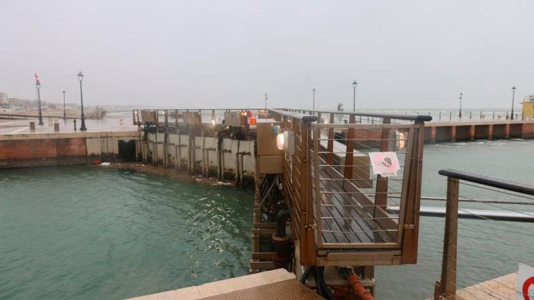 Le porte vinciane a Cesenatico (Foto di Gianmaria Zanotti)