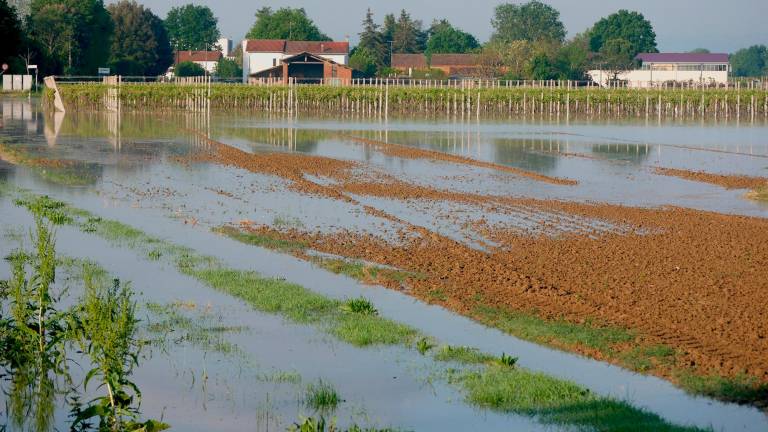 I campi allagati durante l’alluvione e secchi, dopo che l’acqua si è ritirata