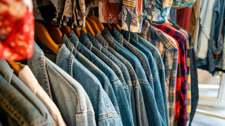 Cesena, ruba due giacche esposte in un negozio e anche un furgoncino per la fuga: denunciato dai Carabinieri