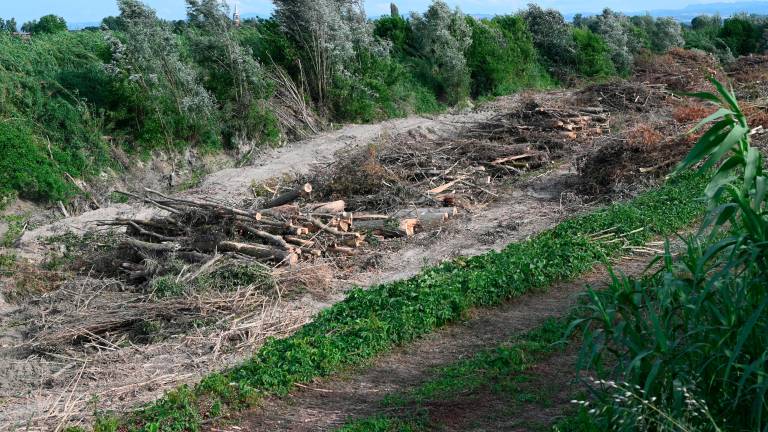 Forlì, lavori sul fiume Montone: i piani della Regione FOTOGALLERY