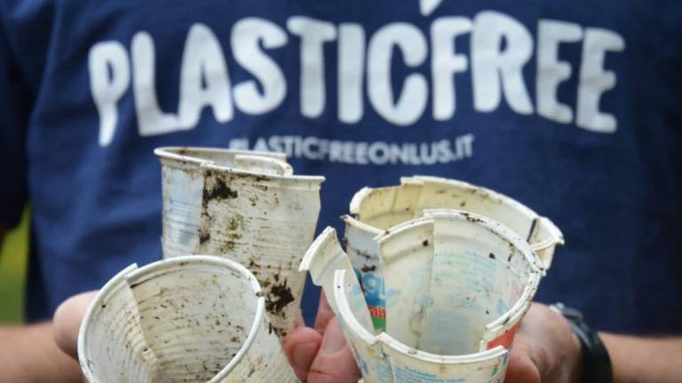 Cesena, domenica la raccolta rifiuti con Plastic Free: ecco come iscriversi