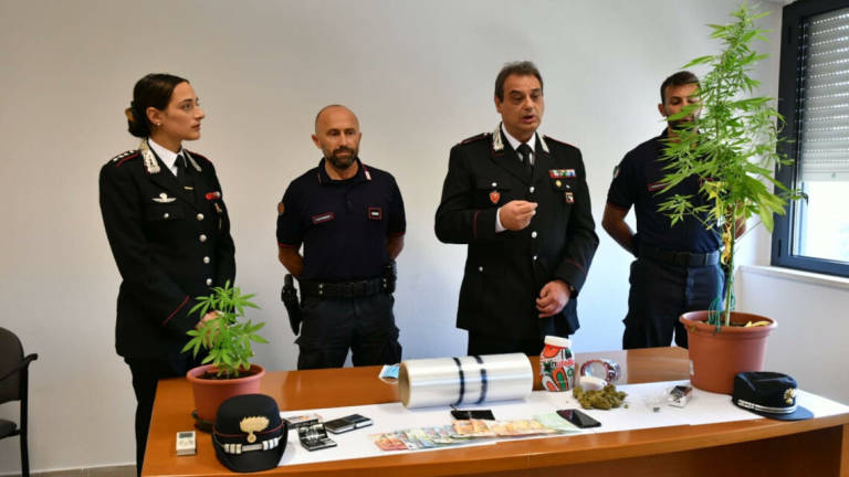 Santa Sofia, spaccia e coltiva marijuana: arrestato 21enne