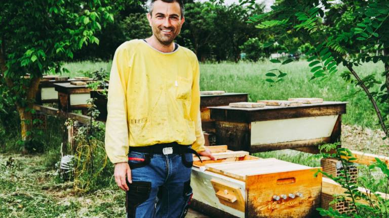 Libere api in liberi prati biodiversi, miele in favo di Fatevobees