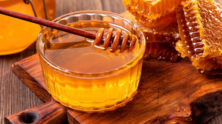 Cesena, nuova dolcissima apertura: apre la mieleria di Tonti Apicoltura