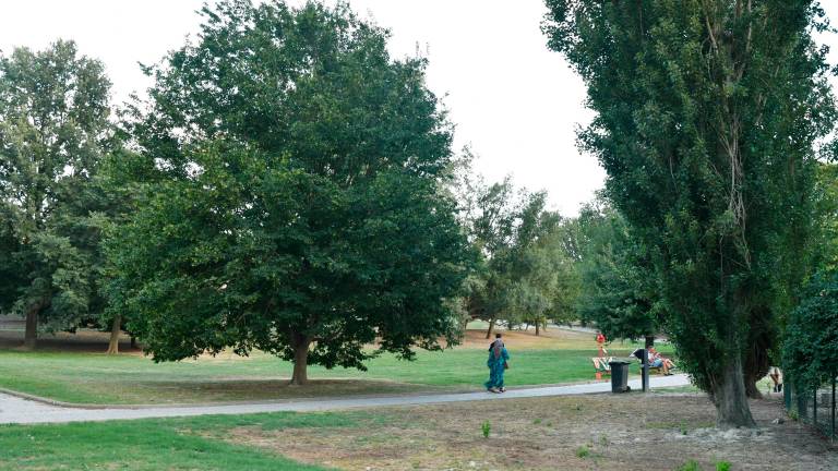 Il Parco Urbano Franco Agosto