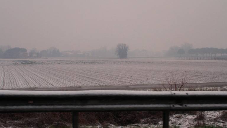 Ravenna. La neve imbianca la campagna. FOTOGALLERY FIORENTINI