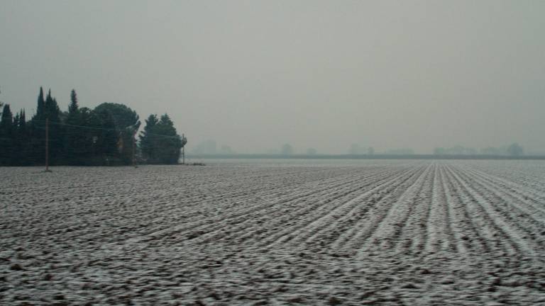 Ravenna. La neve imbianca la campagna. FOTOGALLERY FIORENTINI