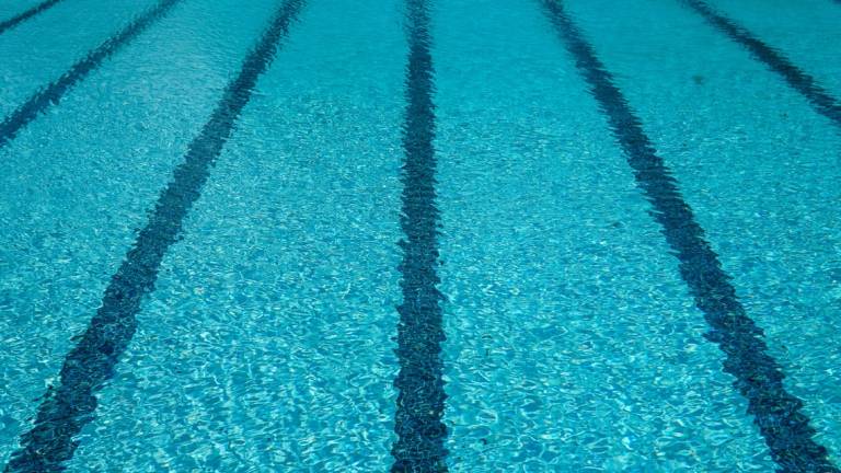 Imola, appello dei dipendenti al sindaco: Un aiuto concreto alla piscina Ortignola