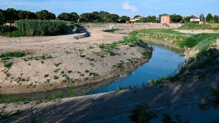 Forlì, lavori sul fiume Montone: i piani della Regione FOTOGALLERY