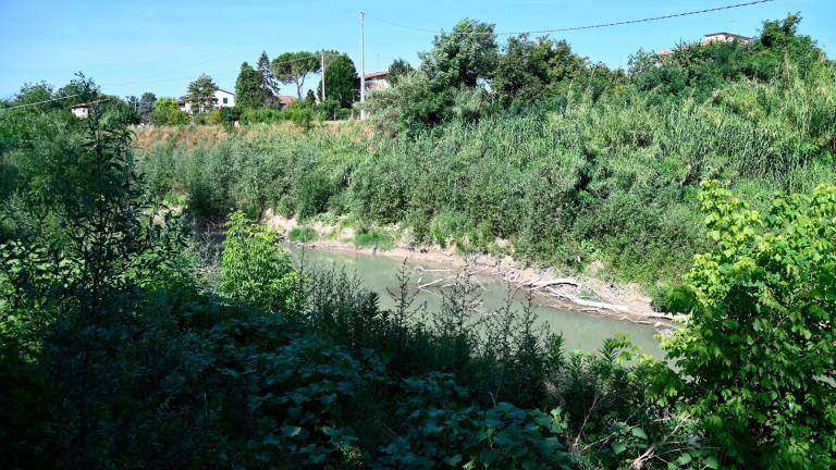 Forlì, il fiume Montone fa ancora paura FOTOGALLERY