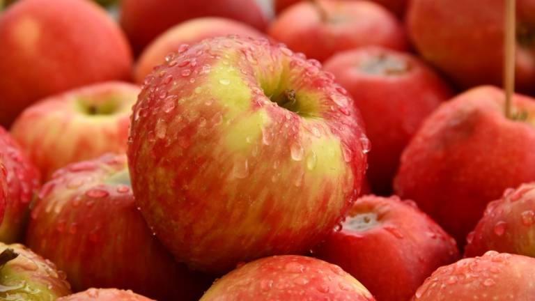 Cesena, siamo alla frutta: sorpresi a rubare 40 chili di mele in un campo, scatta la denuncia