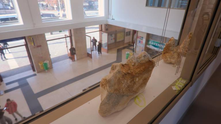 Ravenna, stazione ferroviaria: completati i lavori di riqualificazione - Gallery