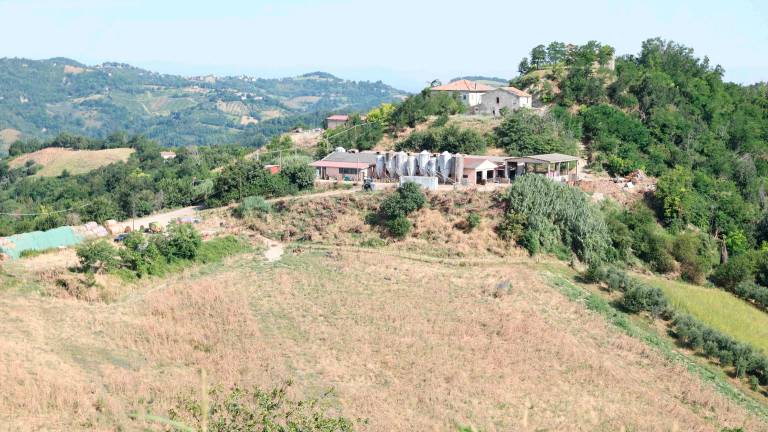 Roncofreddo, sopralluogo sulle frane con De Pascale GALLERY