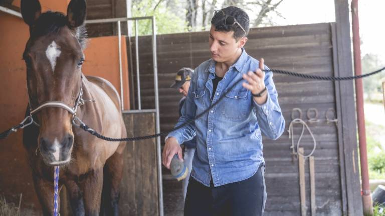 Irst, un progetto di Pet Therapy a cavallo a Bertinoro e Montescudo