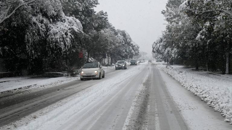 Forlì sotto la neve, scuole chiuse mercoledì 7 gennaio FOTOGALLERY