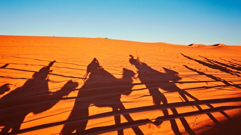 Viaggio in Marocco: un’esperienza indimenticabile frutto anche del lavoro prezioso degli esperti locali