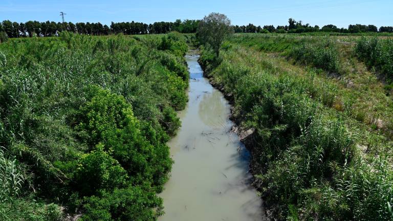 Forlì, il fiume Montone fa ancora paura FOTOGALLERY