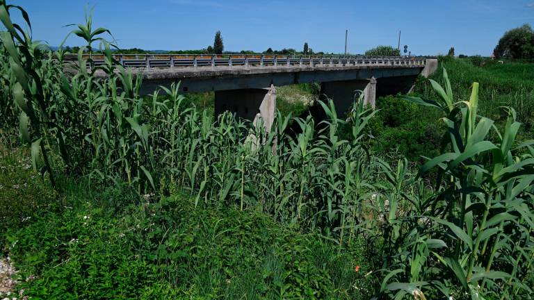 Forlì, il fiume Montone fa ancora paura FOTOGALLERY