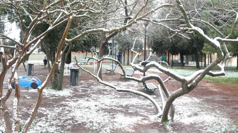 Ravenna si sveglia imbiancata: le foto del centro sotto la neve
