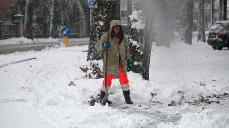 Forlì sotto la neve, scuole chiuse mercoledì 7 gennaio FOTOGALLERY