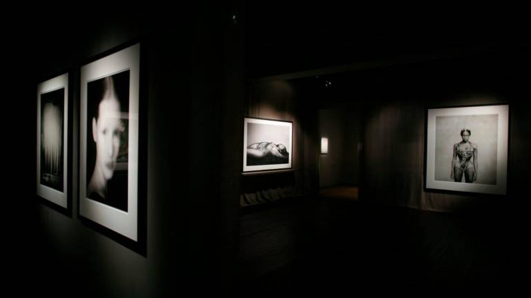Ravenna, ha aperto i battenti la Galleria Paolo Roversi