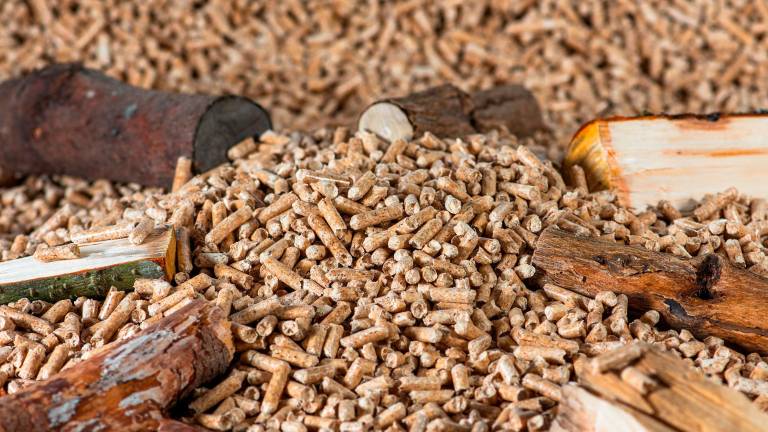 Stufe a Pellet Italia: qualità produttiva e ampia scelta per ogni esigenza abitativa