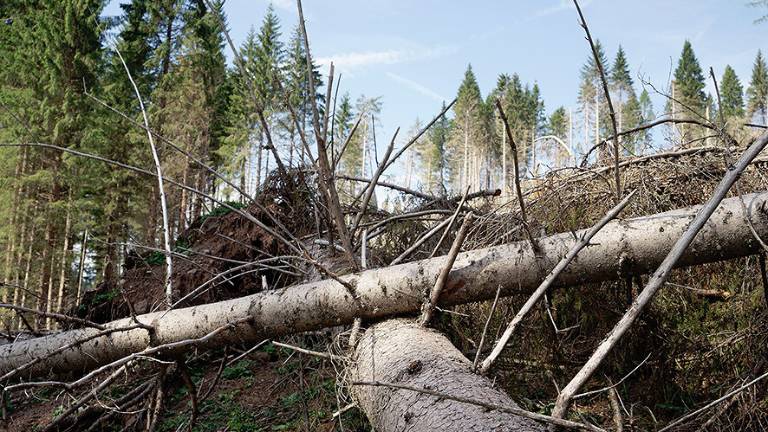 Al Museo dell'Ecologia di Cesena una mostra sui cambiamenti climatici