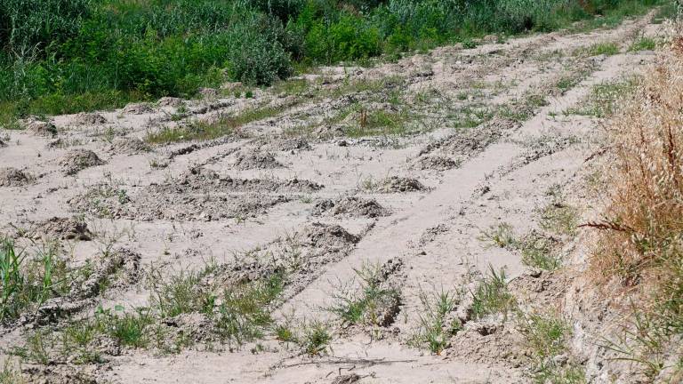 Forlì, il fiume Montone fa ancora paura FOTOGALLERY
